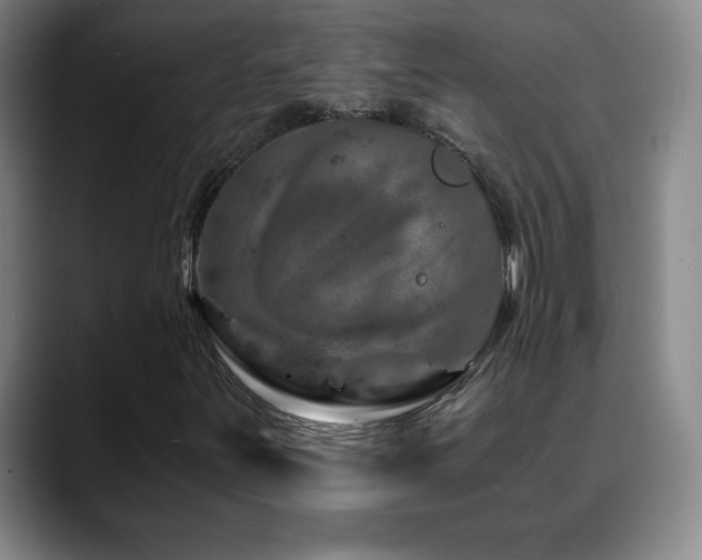 X0000090601251200707171326