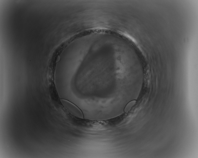 X0000090601255200707171326