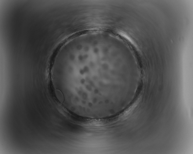 X0000090601259200707171326