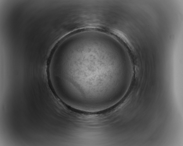 X0000090601260200707171326