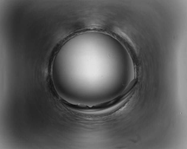 X0000090601261200707171326