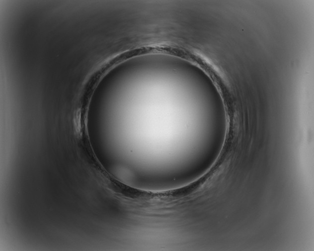 X0000090601262200707171326