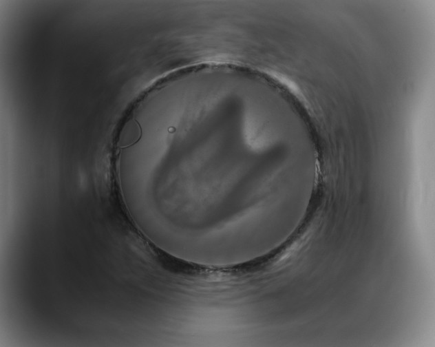 X0000090601263200707171326