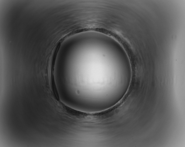 X0000090601265200707171326