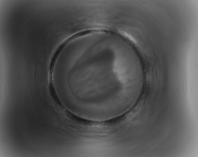 X0000090601267200707171326