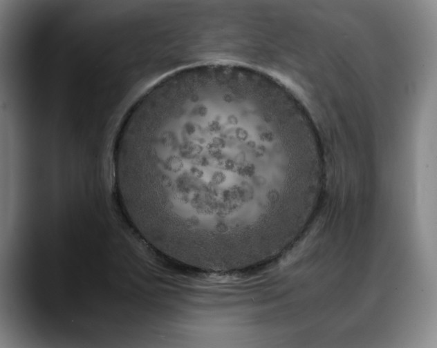 X0000090601271200707171326