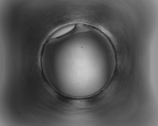 X0000090601272200707171326
