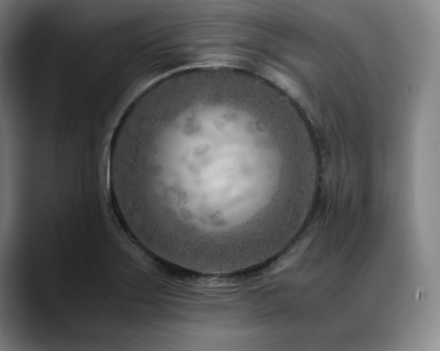 X0000090601275200707171326