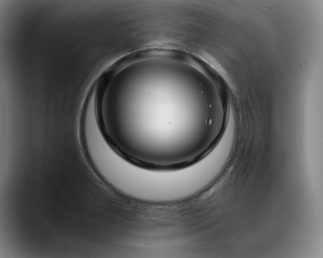 X0000090601277200707171326