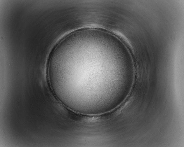 X0000090601278200707171326