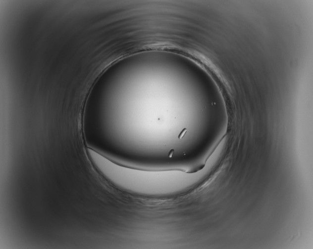 X0000090601281200707171326