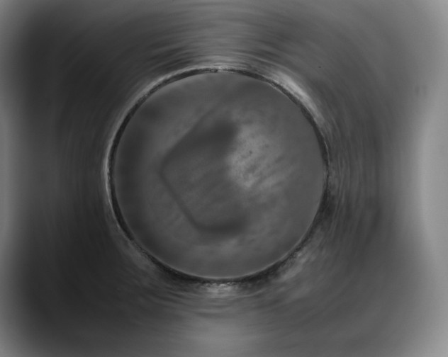 X0000090601283200707171326