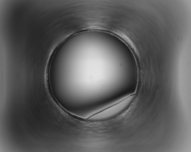 X0000090601285200707171326