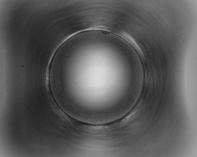 X0000090601292200707171326