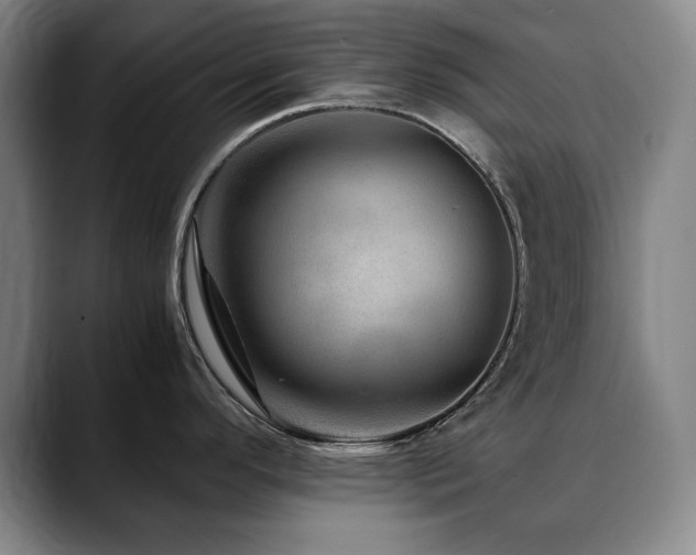 X0000090601296200707171326