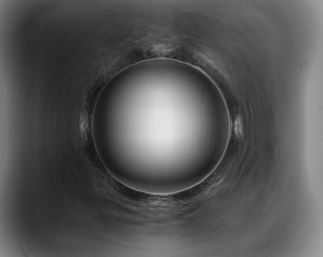 X0000090601299200707171325