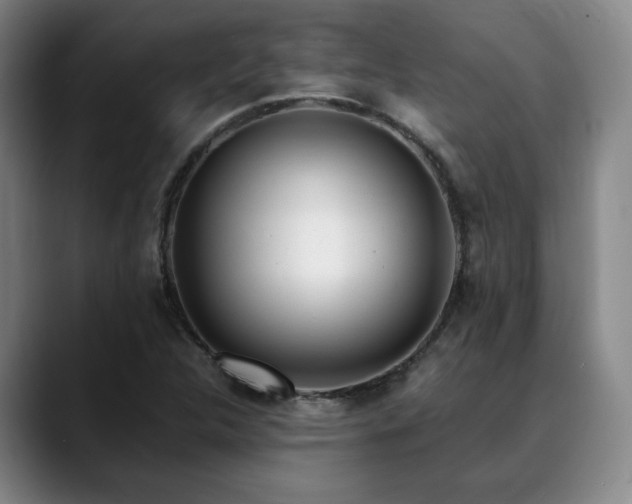 X0000090601312200707171325