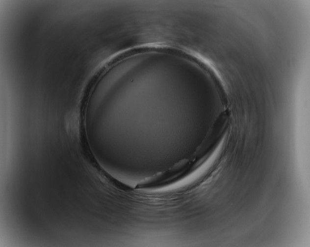 X0000090601319200707171325