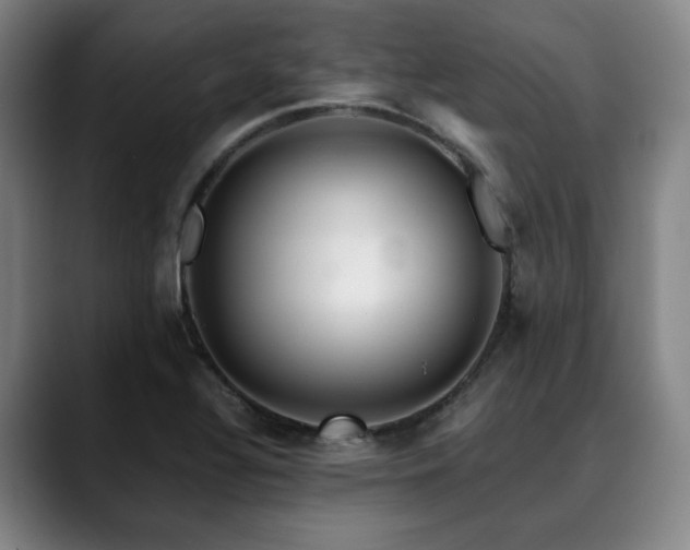 X0000090601320200707171325