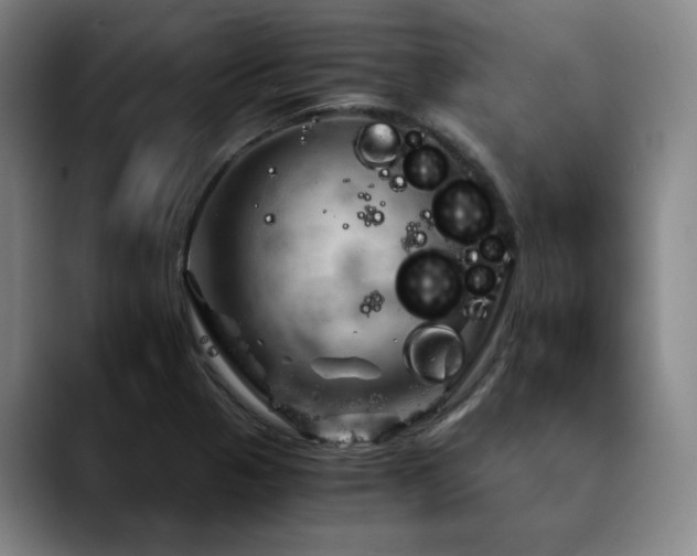 X0000090601321200707171325