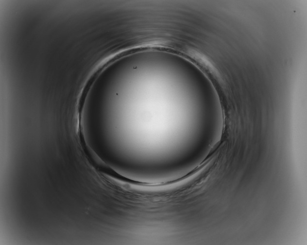 X0000090601324200707171325