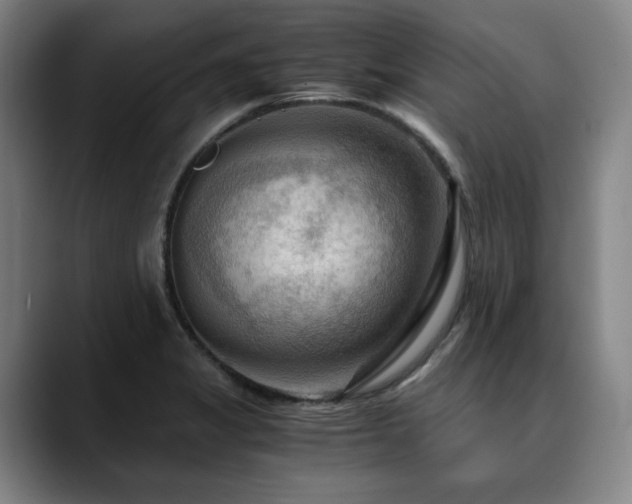 X0000090601325200707171325