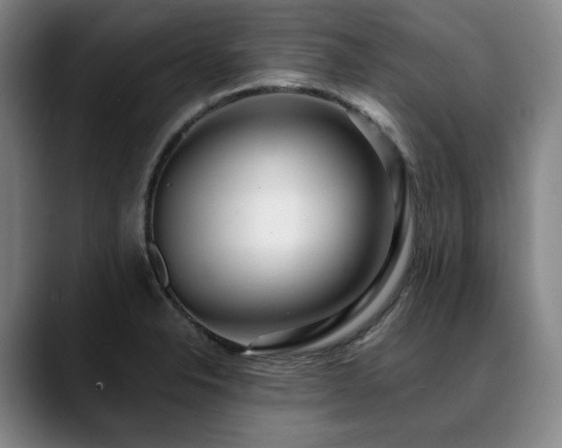 X0000090601326200707171325