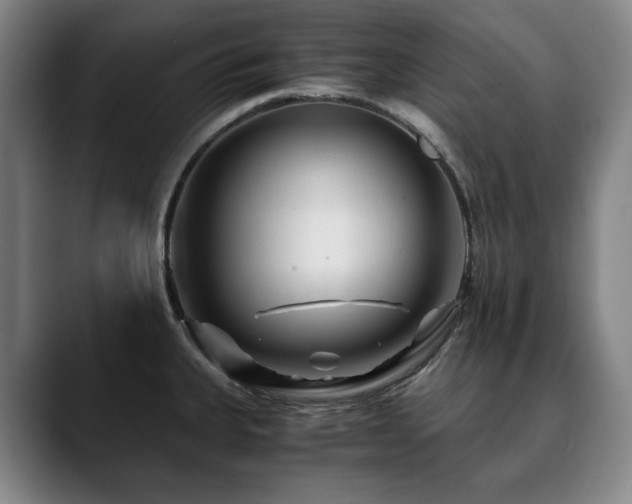 X0000090601335200707171325