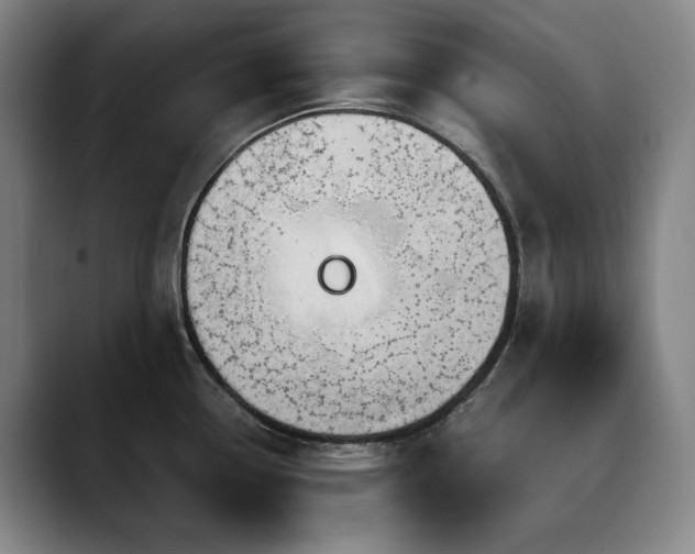 X0000090601338200707171326