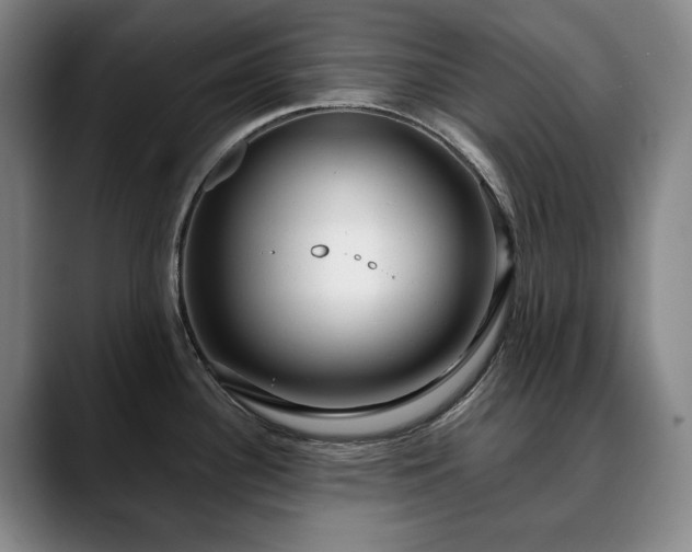 X0000090601340200707171326