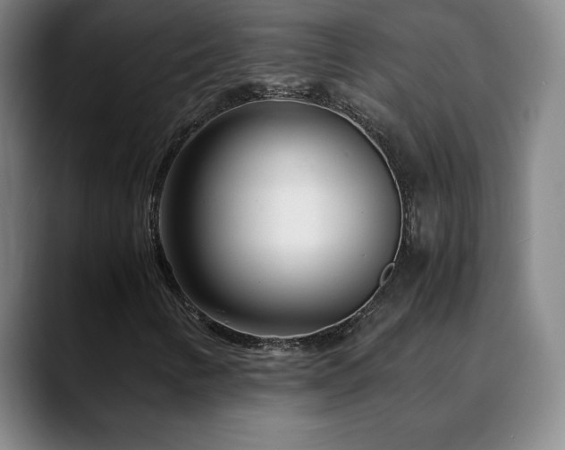 X0000090601346200707171325