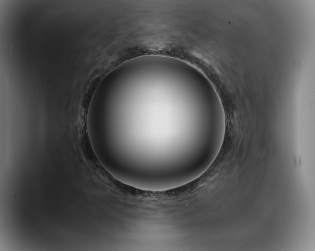 X0000090601349200707171325