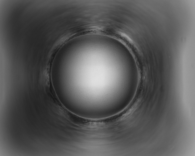 X0000090601354200707171325