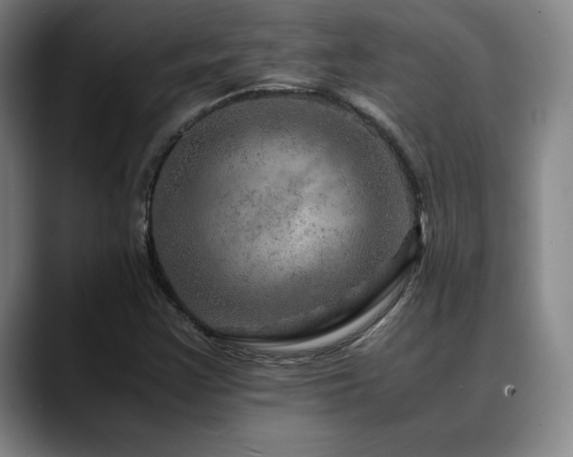 X0000090601355200707171325