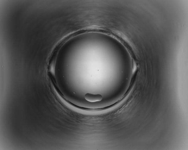 X0000090601356200707171325