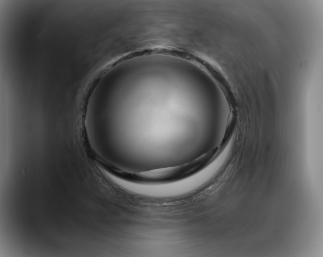 X0000090601359200707171325