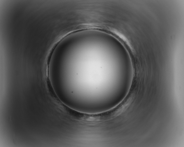 X0000090601365200707171325