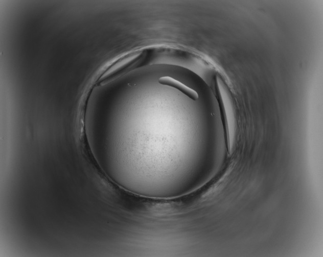 X0000090601367200707171325