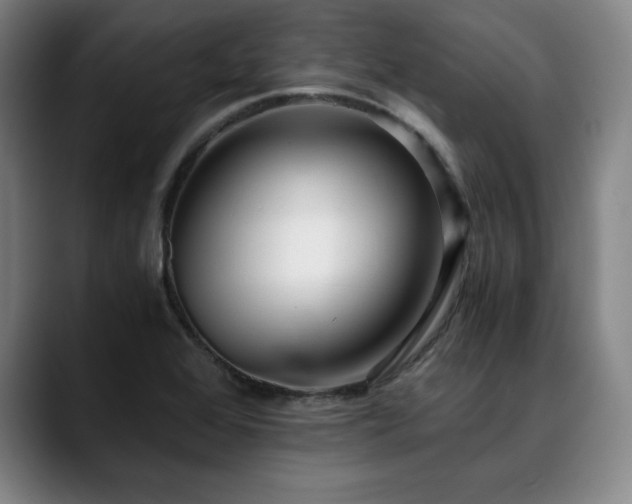 X0000090601368200707171325