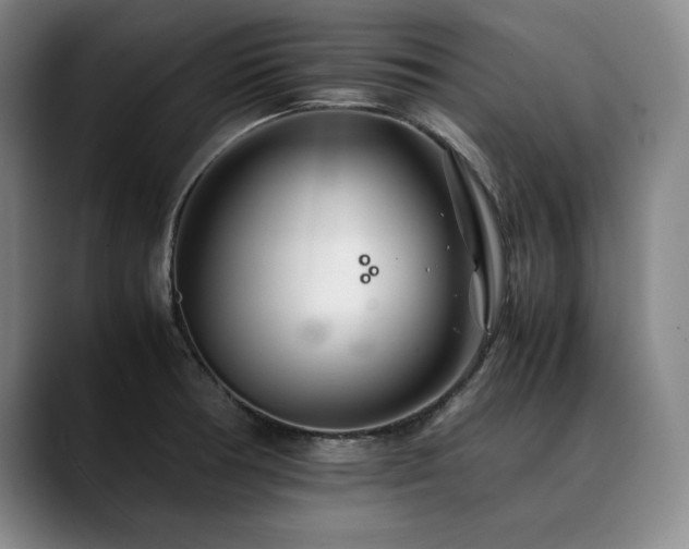 X0000090601378200707171325