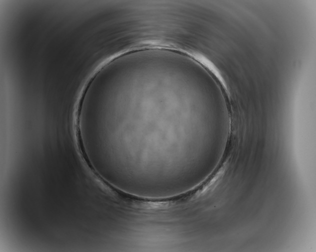 X0000090601381200707171325