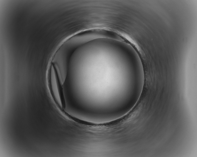 X0000090601383200707171325