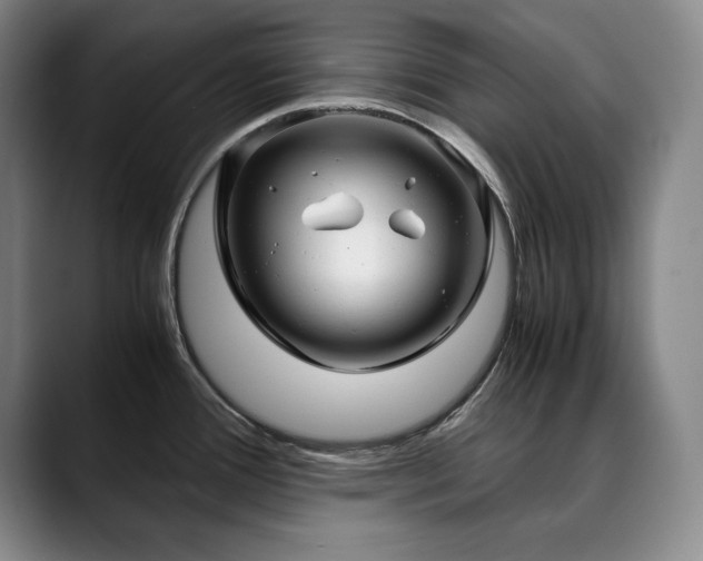 X0000090601388200707171325
