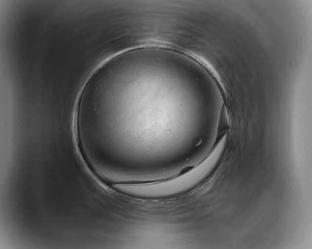 X0000090601391200707171324