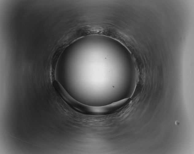 X0000090601394200707171324