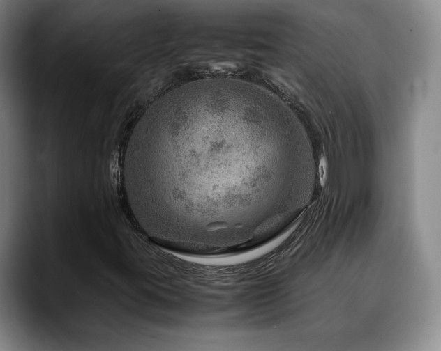 X0000090601395200707171324