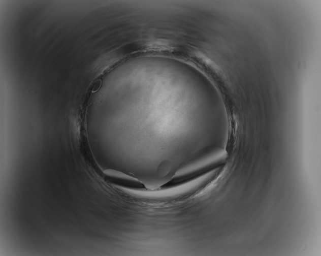 X0000090601401200707171324