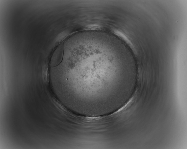X0000090601403200707171324