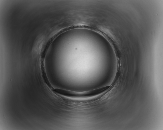 X0000090601404200707171324