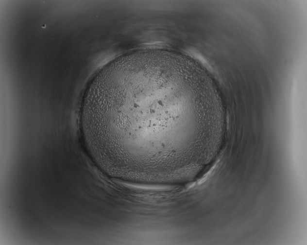 X0000090601405200707171324
